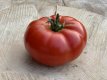 ZTOWTCODICH Tomate Costoluto di Chivasso/Chivassa 10 semillas