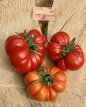 ZTOWTCORLE Tomate Corleonese 10 semillas