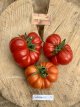 ZTOWTCORLE Tomate Corleonese 10 graines