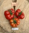 ZTOWTCORLE Tomate Corleonese 10 semillas