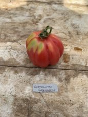 ZTOWTCOSGEN Tomaat Costoluto Genovese 5 zaden
