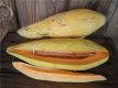 ZVRTGBAME15 Meloen Banana Melon 5 zaden TessGruun