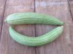 ZVRTGKOARYALO Cucumber Armenian Yard Long 10 seeds TessGruun