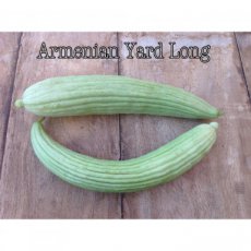 Komkommer Armenian Yard Long 10 zaden TessGruun