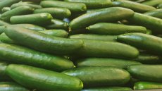 ZVRTGKOLGI Komkommer ‘Long Green Improved’ – 10 zaden TessGruun
