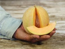 Melon Minnesota Midget 5 graines TessGruun