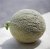 Melon Sucrin de Tours 5 graines BIO TessGruun