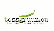 Aubergine Louisiana Green 5 graines TessGruun